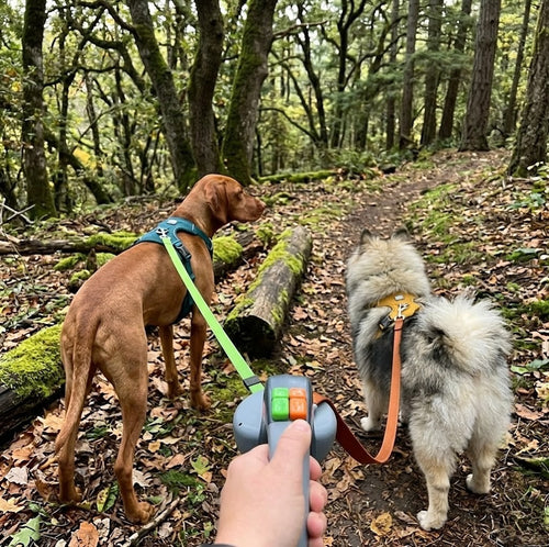 Retractable Anti-Tangle Dual Dog Leash